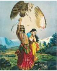 Image from page