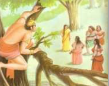 Image from page
